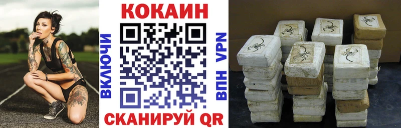 дарк нет клад  купить наркотики цена  Ессентуки  Cocaine FishScale 