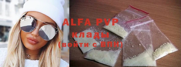 индика Карпинск
