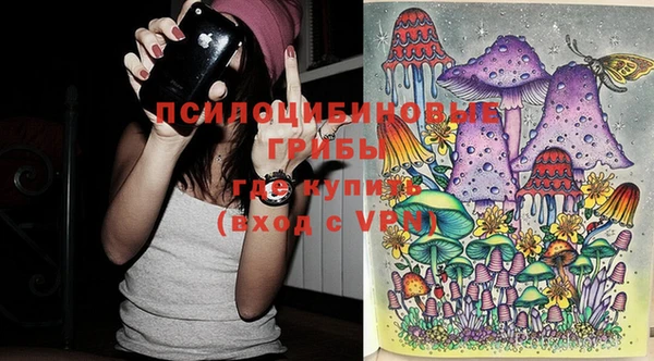 дживик Киреевск